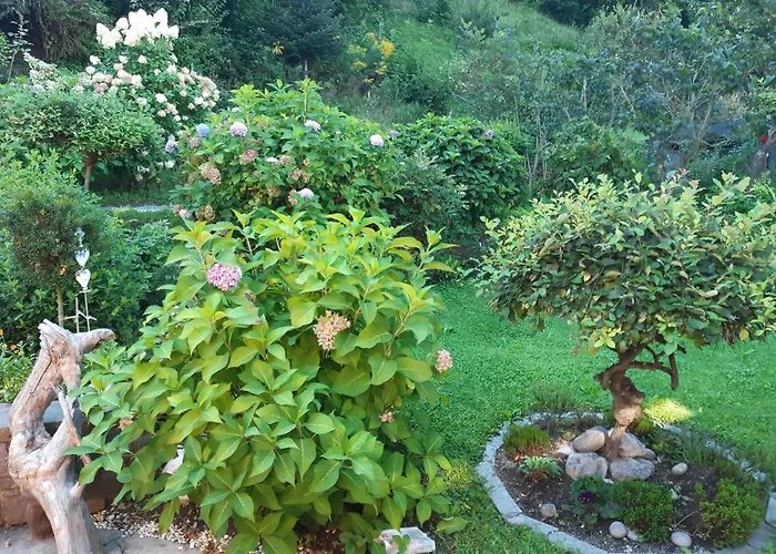 Garden View Appartement *