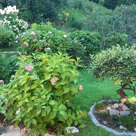 Garden View Apartment *